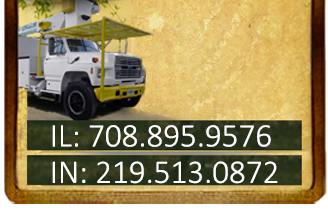 Free Estimates Briggs Tree Service